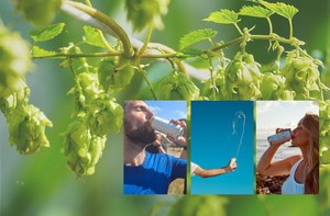 What is Hop Water? The Definitive Guide