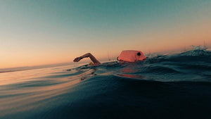 Open Water Swimmer Cascais Bay Sunrise 