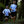 Load image into Gallery viewer, Sintra Forest Trail Run
